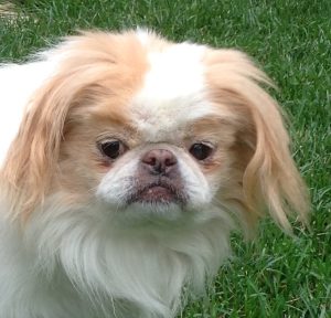 Does he look happy to you? 